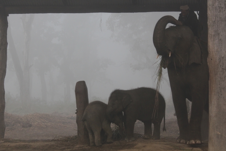 閉上左眼即為天倫